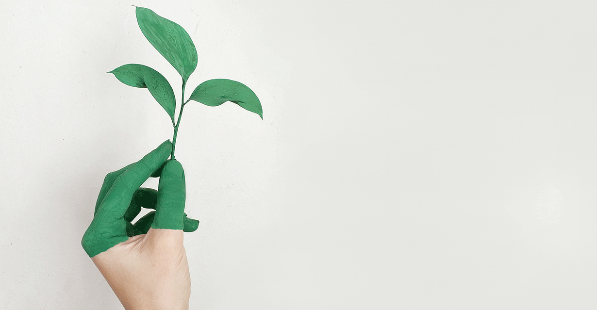 Fördermittel-Prozesswärme